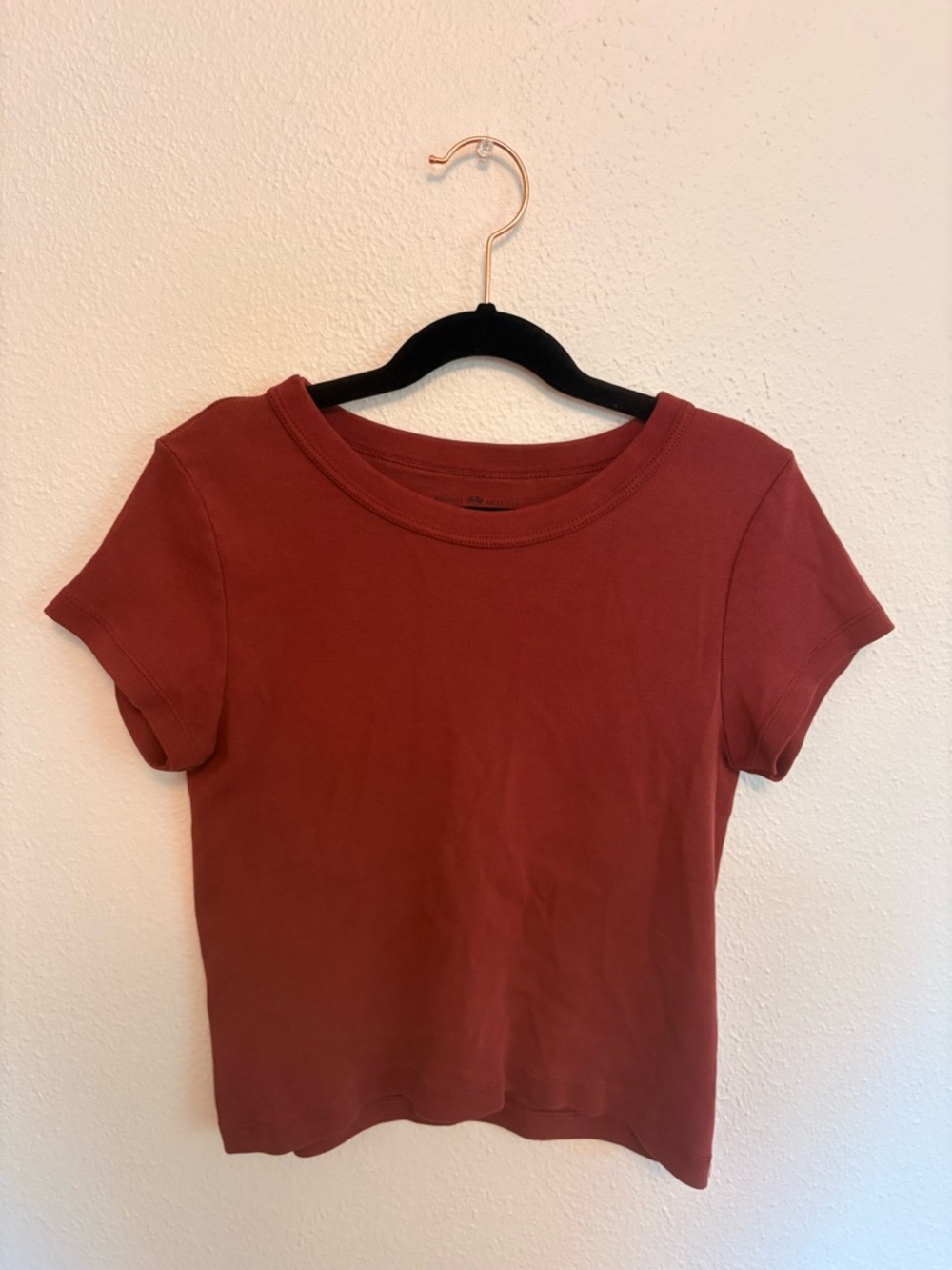 Brandy Melville Rust Short Sleeve Crewneck Crop Top